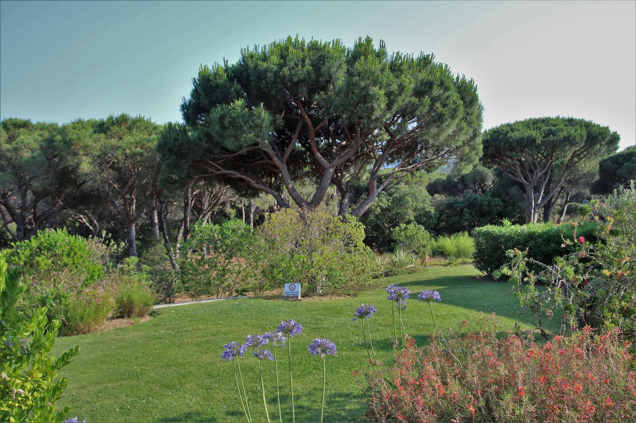 Appartement Les Pins Bleus A8 Sainte-Maxime Exteriér fotografie